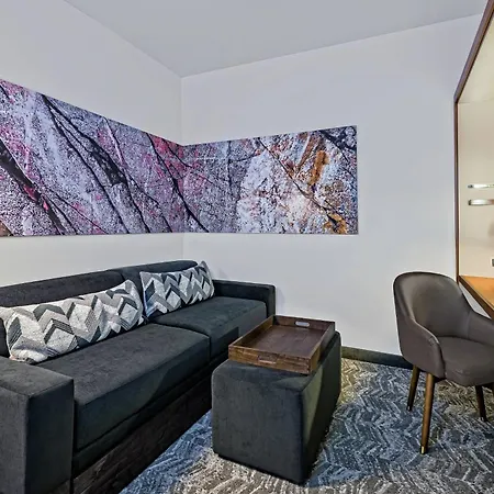 Springhill Suites By Marriott San Antonio Seaworld/Lackland-2