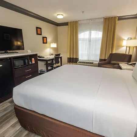Comfort Inn & Suites Near Universal - N Hollywood - Burbank-3