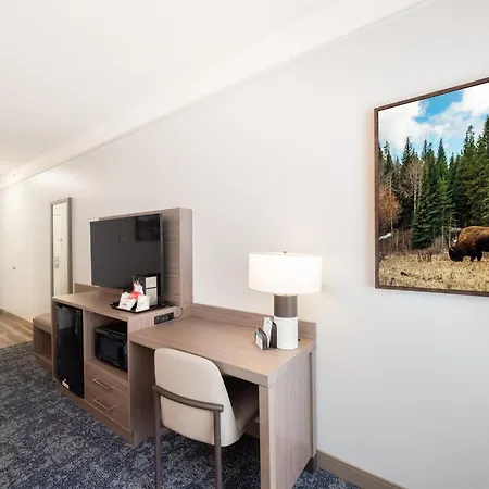 Surestay Plus Hotel By Best Western Billings-3