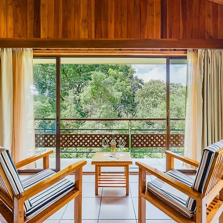 Ficus Sunset Suites-3