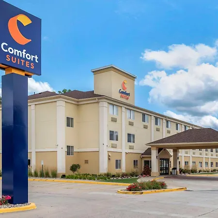 Comfort Suites Terre Haute University Area-3