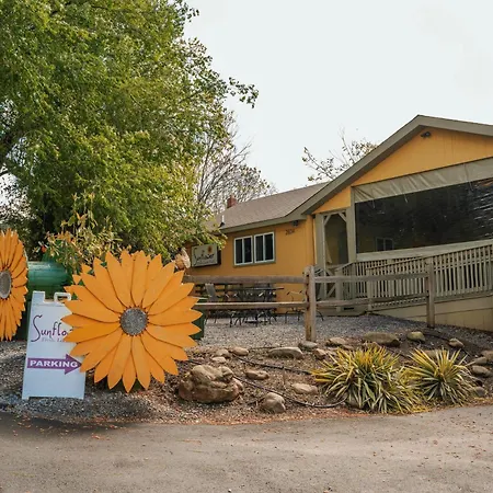 The Iris Motel-2