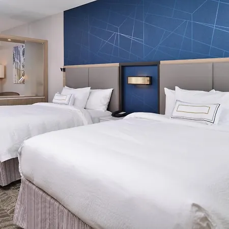 Springhill Suites By Marriott Springfield Southwest-3