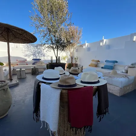 Riad Malaika-2