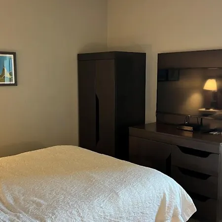 Hampton Inn By Hilton Montrose-3