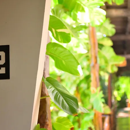 Casa Teka - Boutique Hotel & Cenote-2