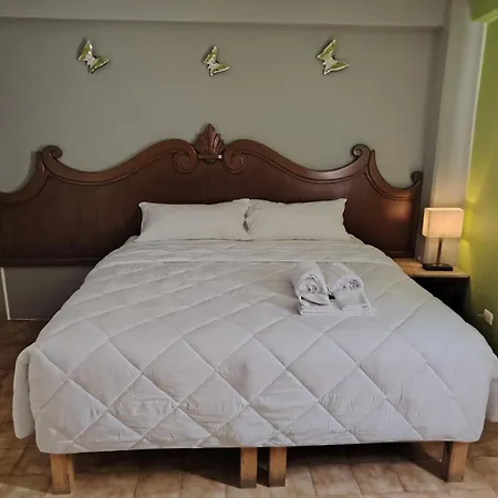 Cabo Tortuga Hotel Boutique-2