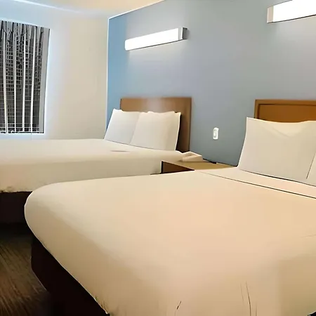 Comfort Inn Rohnert Park Sonoma County-2