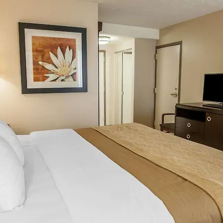 Comfort Inn Bloomington Near University-3