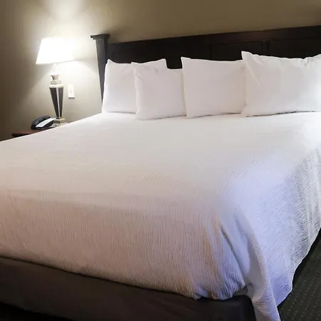 Wingate By Wyndham Peoria - Complimentary Area Shuttle-3
