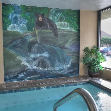 Comfort Inn & Suites At Dollywood Lane-2