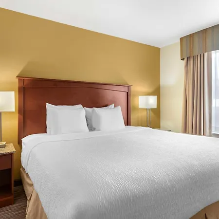 Best Western Executive Inn & Suites-3