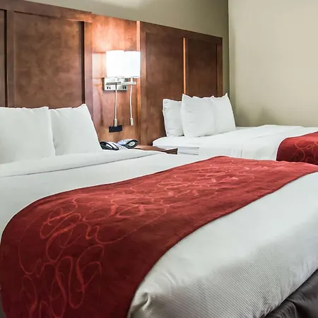 Comfort Suites University - Research Park-2