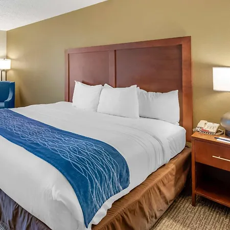 Comfort Inn Elizabeth City Near University-2