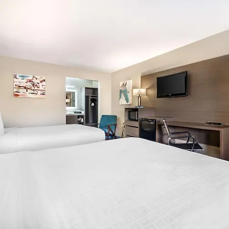 Best Western Green Tree Inn-3