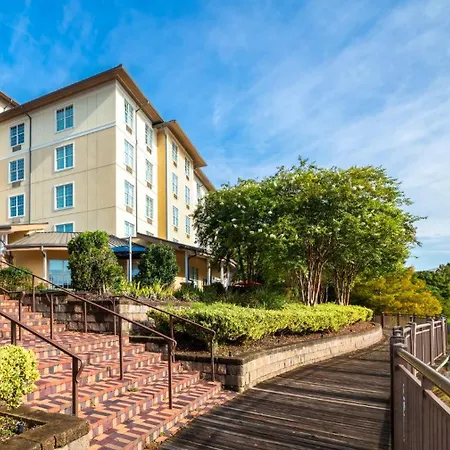 Hotel Indigo Jacksonville-Deerwood Park By Ihg-2