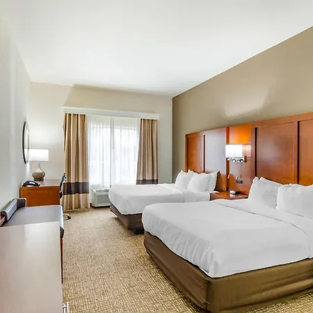 Comfort Inn & Suites Near Bethel College-2