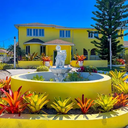 Golden Palms House-3