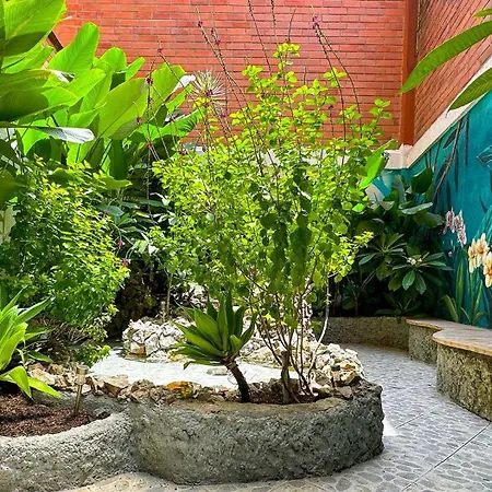 Hotel Casa Laureles-2