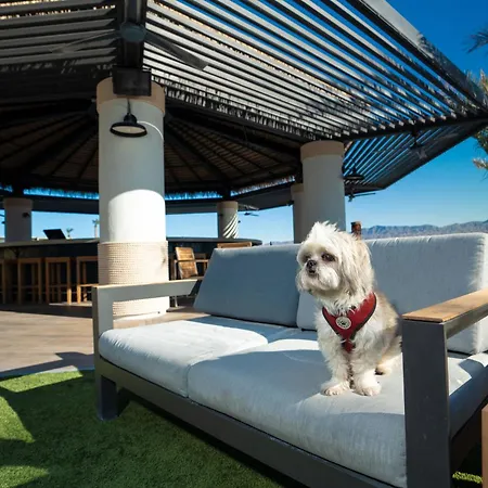 The Nautical Beachfront Resort-3