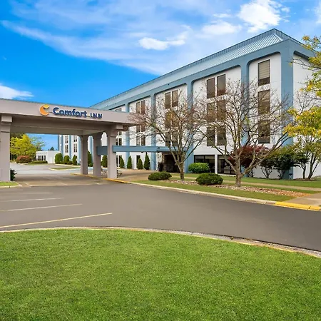 Comfort Inn Cadillac-3