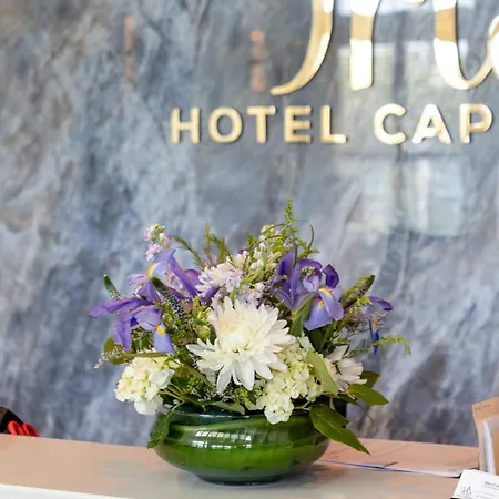 Iris Hotel Cape Cod-3