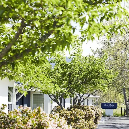 Calistoga Motor Lodge And Spa-2