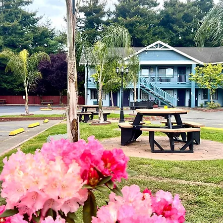 Best Western Country Inn-3