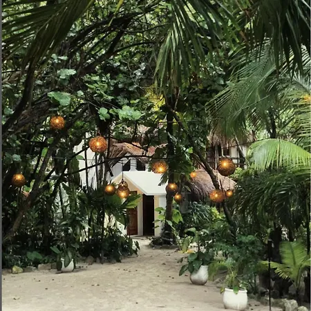 Casa Violeta-3