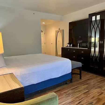 Rocklin Park Hotel, Trademark Collection By Wyndham-3