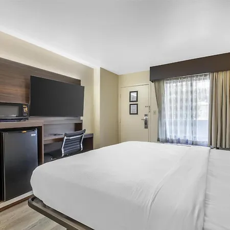 Best Western Salisbury Plaza-3
