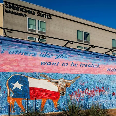 Springhill Suites By Marriott Austin Cedar Park-3