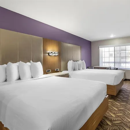 Best Western Airport Plaza Hotel - Lax Airport La Stadium-3