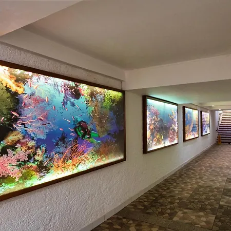 Cozumel Hotel & Resort All Inclusive-2