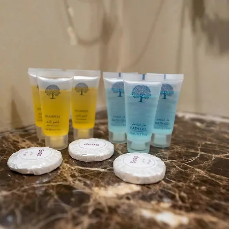 Hayah Plaza Hotel-2