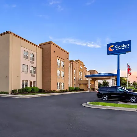 Comfort Inn & Suites Allen Park - Dearborn-2