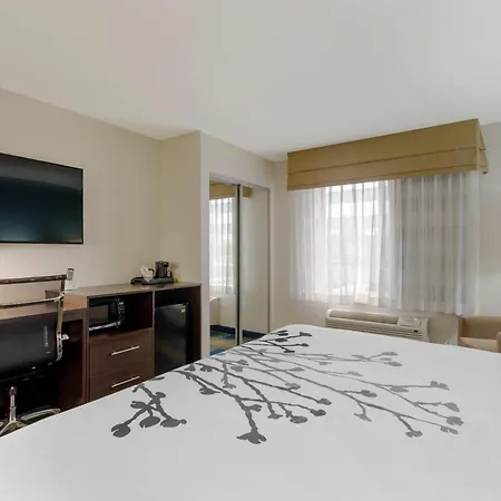 Sleep Inn & Suites Smyrna - Nashville Area-3