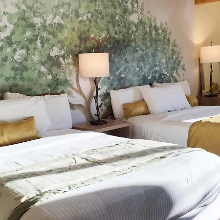 Arbors At Island Landing Hotel & Suites-2