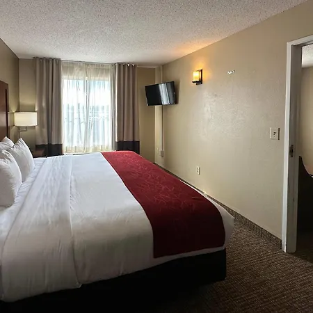 Charlotte Suites By Ihg-2