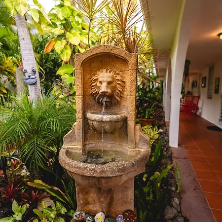 Coconut Palms Inn-3