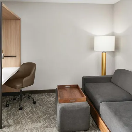 Springhill Suites By Marriott Lansing West-2