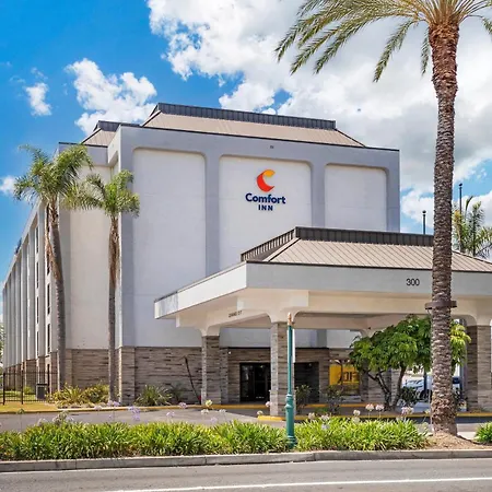 Comfort Inn Anaheim Resort-2