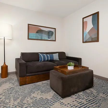 Springhill Suites By Marriott Mcallen Convention Center-3