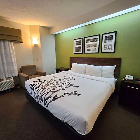 Surestay By Best Western Summerville Flowertown-3