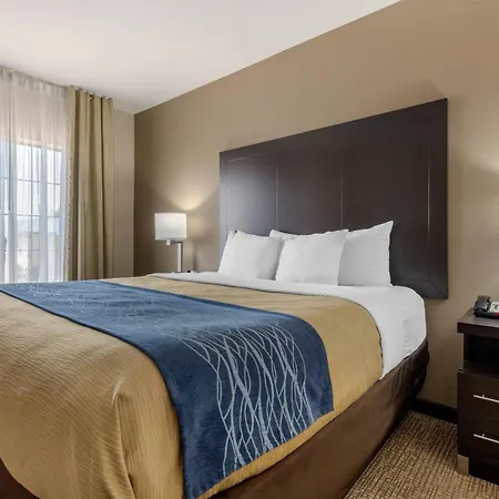 Comfort Inn & Suites North Little Rock Mccain Mall-3