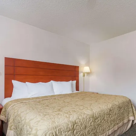 Super 8 By Wyndham St Charles-3