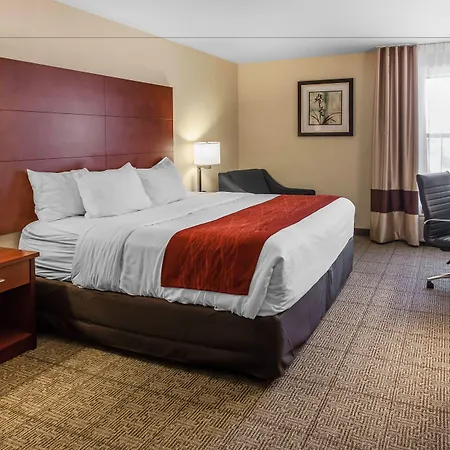 Comfort Inn & Suites Near Fallon Naval Air Station-2