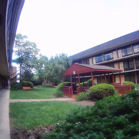 Quality Inn Vienna - Tysons Corner-3