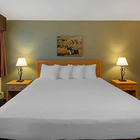 Best Western King Salmon Inn-2
