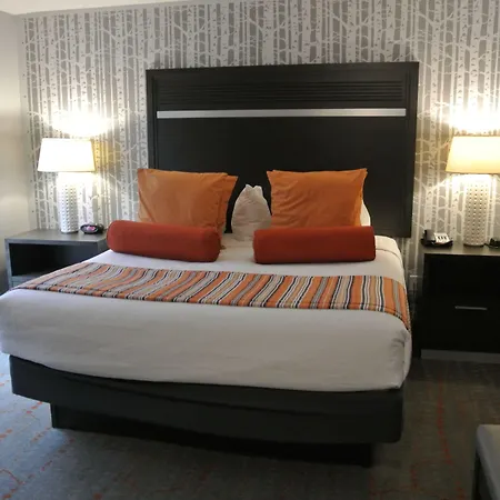 Best Western Corvallis-3